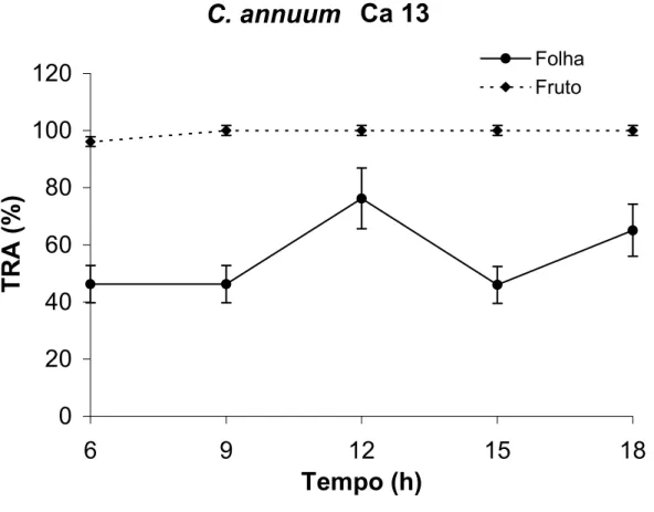Figura 10: Teor relativo de água de frutos no estádio verde-maduro e folhas de  Capsicum annuum (Ca 13) ao longo de 12 horas