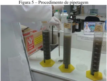 Figura 5 – Procedimento de pipetagem 