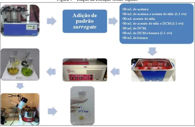 Figura 9 – Etapas da extração sólido-líquido 