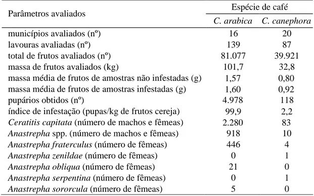 Tabela  1.  Dados  da  infestação  por  moscas-das-frutas  em  café  Coffea  arabica  e 