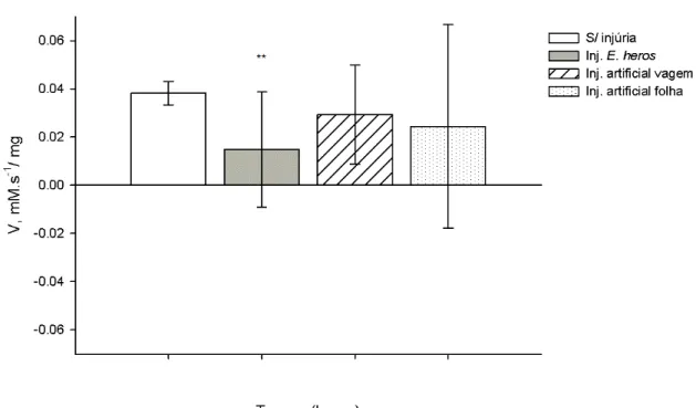Figura 6. Atividade específica de LOX (V), em mM.s -1 / mg, obtidas de extratos de grãos de  soja do genótipo triplo nulo