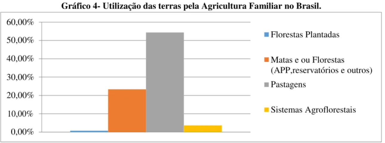 Gráfico 4- Utilização das terras pela Agricultura Familiar no Brasil. 