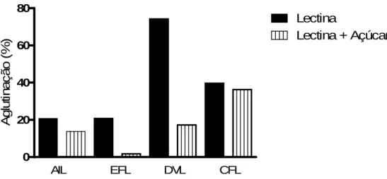 Gráfico  3.  Perfil  de  aglutinação  de  promastigotas  de  Leishmania  amazonensis  em  fase  estacionária  por  lectinas na presença ou ausência de seu açúcar específico