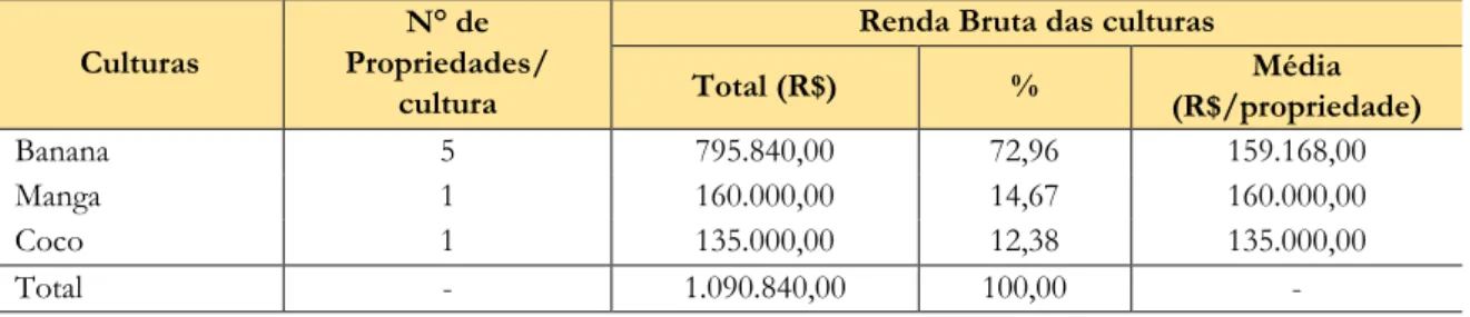 TABELA 9 – Renda bruta total e média das culturas em médias empresas, dez. 2013 