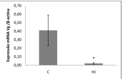 Figura 6. Expressão relativa do gene vitelogenina em operárias de Ectatomma tuberculatum em 