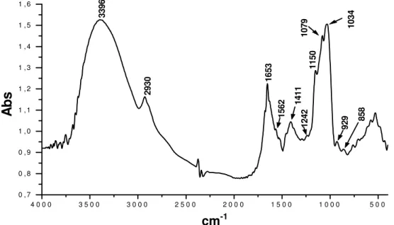 Figura  12.  Espectro  infravermelho  dos  polissacarídeos  purificados  isolados  do       Cog-Ce, em pastilha de KBr