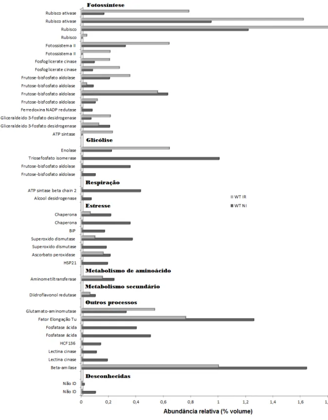 Figura  7.  Abundância  relativa  (%  volume)  das  proteínas  diferenciais  no  genótipo  WT  e  sua 