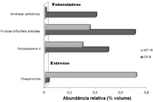 Figura 9. Abundância relativa (% volume) das proteínas diferenciais entre o genótipo WT e C9 