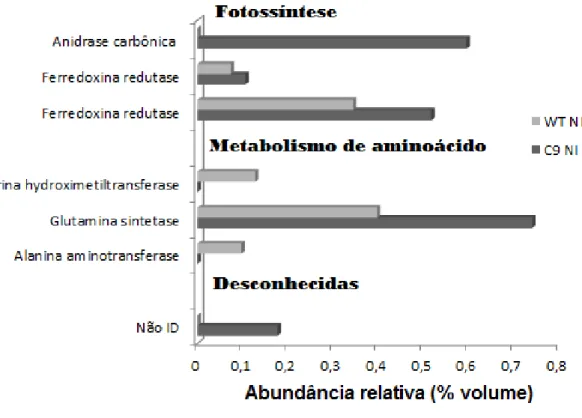 Figura  10.  Abundância  relativa  (%  volume)  das  proteínas  diferenciais  entre  o  genótipo  WT  e 