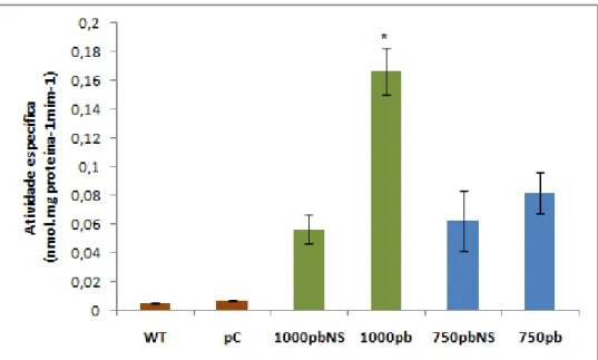 Figura  4  –  Análise  quantitativa  da  expressão  da  enzima  GUS  das  plantas  transgênicas  pNAC081-750::GUS 