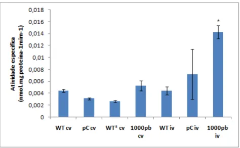 Figura  10  – Análise quantitativa da expressão da enzima GUS em plantas transgênicas pNAC081-1000::GUS, 