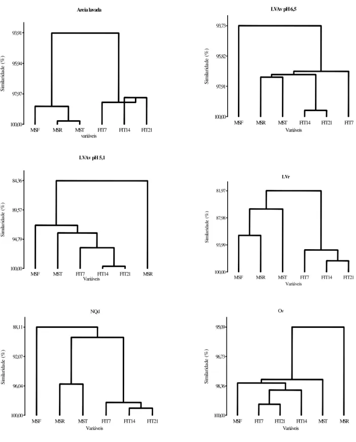 Figura 1.  Porcentagem de similaridade entre a intoxicações do sorgo aos 7 (FIT7), 14  (FIT14) e 21 (FIT21) dias, matéria seca da parte aérea (MSF), da raiz (MSR) e  total  (MST)  para  cada  substrato  em  estudo,  estabelecidas  de  acordo  com  as  corr