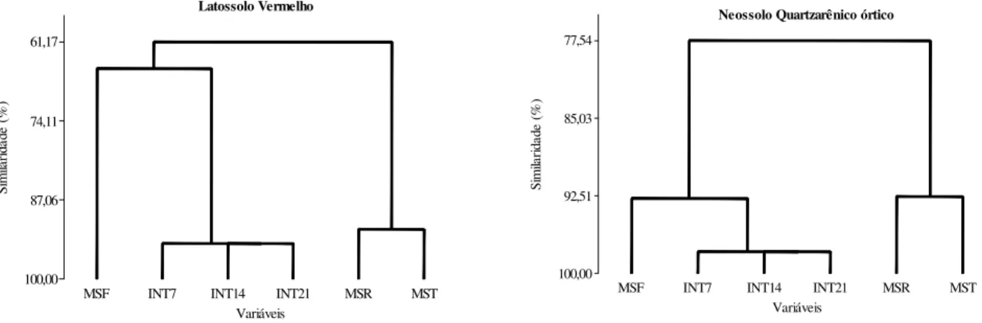 Figura 1. Porcentagem de similaridade entre as variáveis: intoxicações do sorgo aos 7  (INT 7), 14 (INT 14) e 21 (INT 21) dias após a emergência, matéria seca de  parte aérea (MSF), raiz (MSR) e total (MST) para cada substrato em estudo  (Latossolo Vermelh