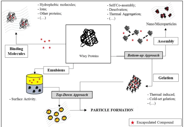 Figure  2.3.  Illustration  of  encapsulation  strategies  applied  to  whey  proteins  (adapted  from 