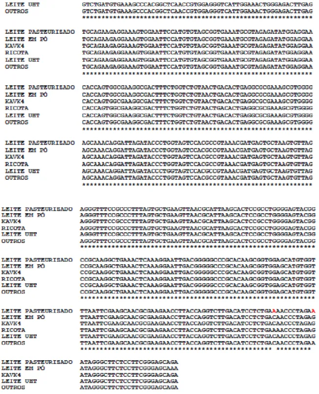 Figura 4: Comparação de sequências de DNA do gene  16S de um isolado de  cada um dos produtos lácteos analisados com a sequência da estirpe  Bacillus  cereus KAVK4