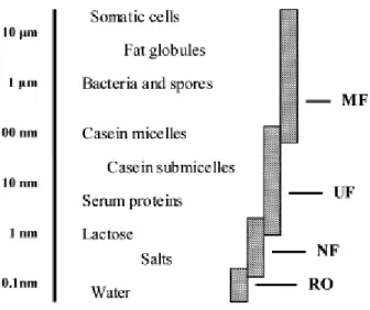 Figure  2.2.  Components  in  milk:  size  indication  and  membrane  processes.  MF=  microfiltration, UF = ultrafiltration, NF = nanofiltration, RO = reverse osmosis (Brans et al., 