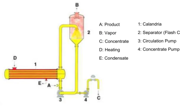 Figure 2.8. Forced circulation evaporator (www.niroinc.com). 