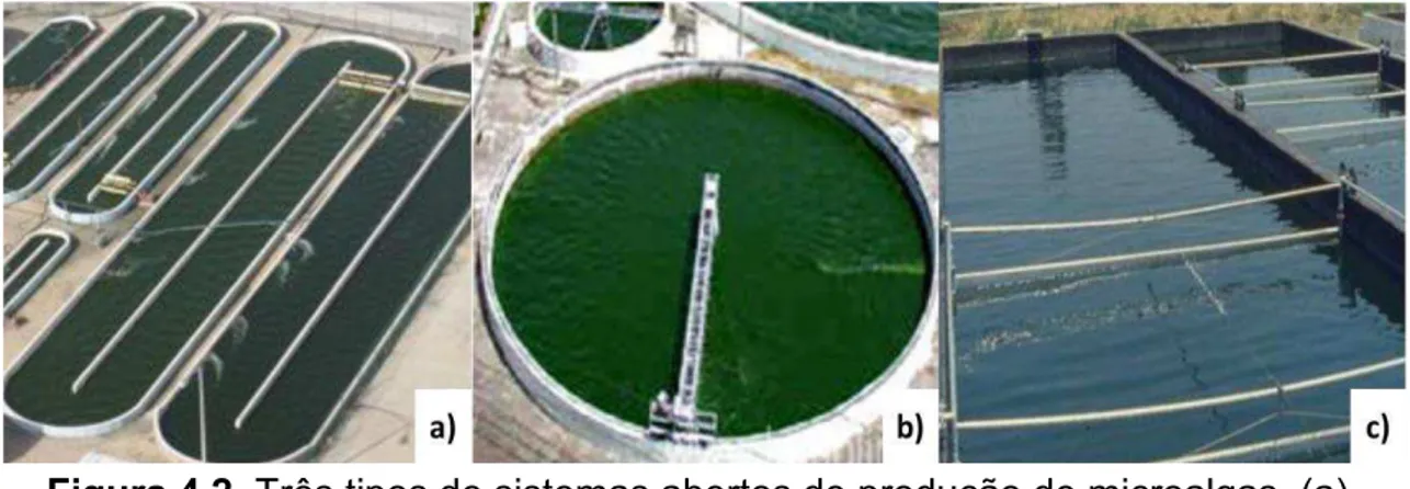 Figura 4.2. Três tipos de sistemas abertos de produção de microalgas. (a) 
