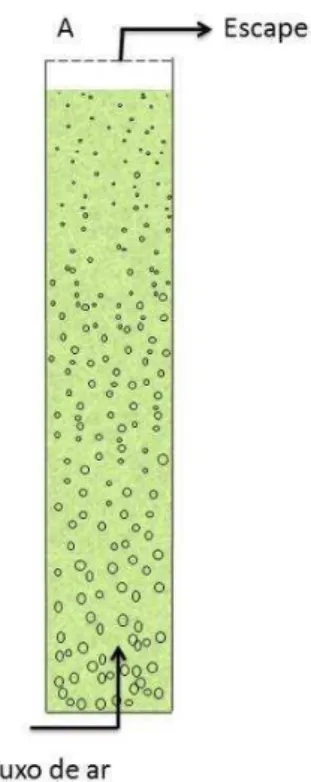 Figura 4.3. Diagrama esquemático de FBR coluna de bolhas.  Fonte. Adaptado de Wang et al