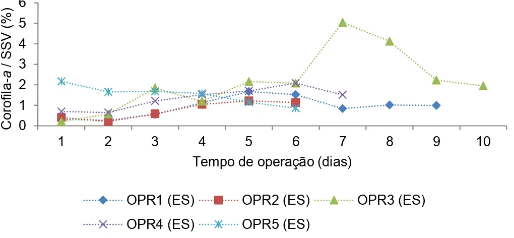 Figura 5.5. Relação entre clorofila-a e SSV para o efluente secundário durante 