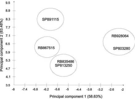 Figure 1. Cluster of six sugarcane varieties by using principal components analysis. The  first  and  the  second  principal  components  represent  58.63%  and  83.48%  of  the  total  accumulate variance respectively