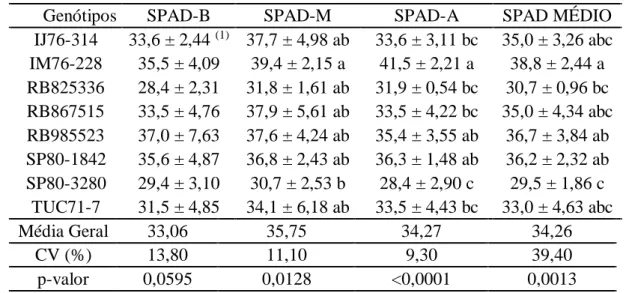 Tabela  4  -  SPAD  basal  (SPAD-B),  mediana  (SPAD-M),  apical  (SPAD-A)  e  a  média  das  leituras  (SPAD-MÉDIO),  para  avaliação  da  oviposição  de  Diatraea  saccharalis  com chance de escolha em genótipos de cana-de-açúcar