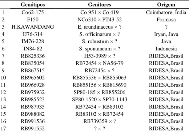 Tabela 1 - Número de referência para 24 genótipos de cana-de-açúcar que constituem o  banco de germoplasma estudado, seus genitores e respectivas origens