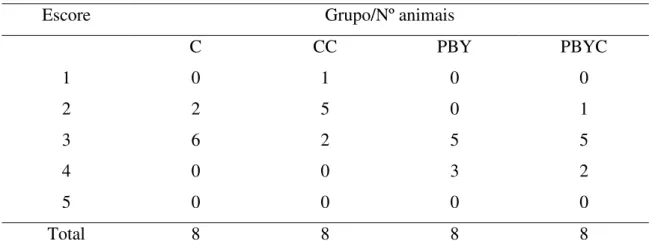 Tabela 2 –Escore fecal verificado após consumo da solução contendo produto a base de  yacon por 28 dias nos diferentes grupos estudados