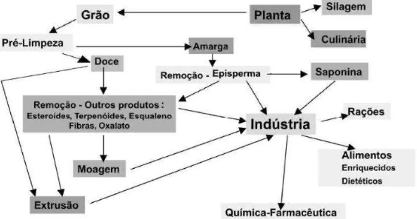 Figura 3. Fluxo de processamento de quinoa, com os produtos derivados.   Fonte: Spehar et al., (2003)