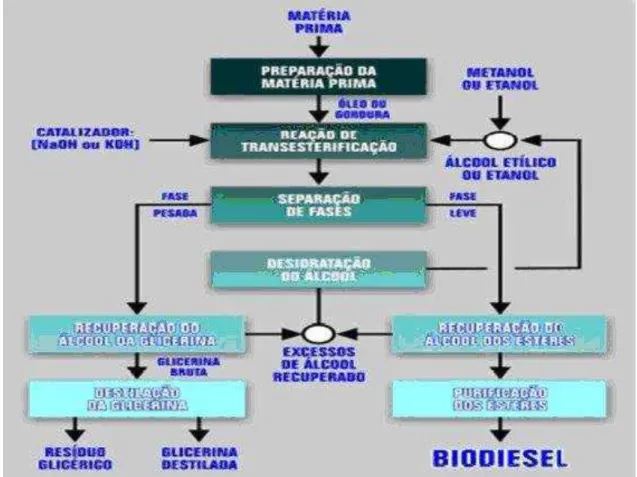 Figura 6  – Fluxograma de produção do biodiesel. 