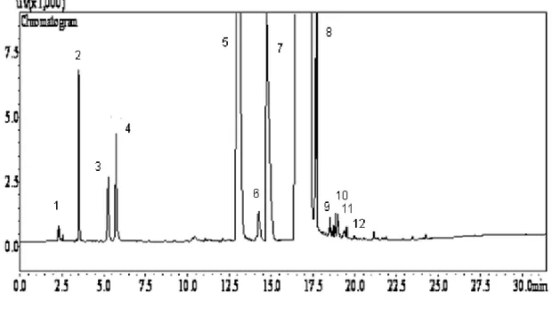 Figura  11  –  Cromatograma  demonstrando  a  composição  do  óleo  fúsel  após  o 
