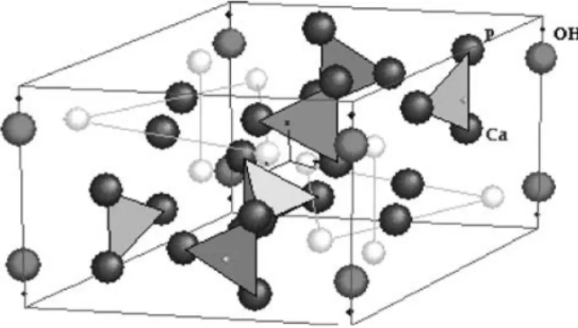 Figura 1: Estrutura cristalográfica de uma hidroxiapatita. Departamento de 