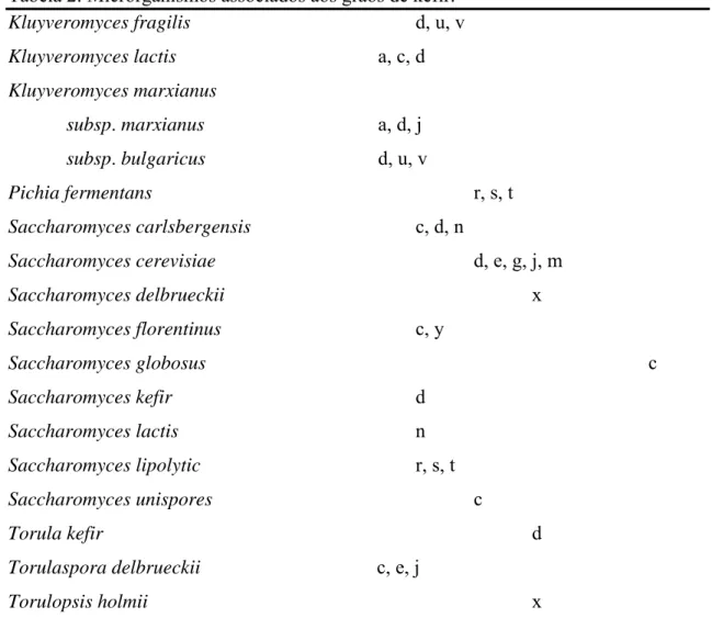 Tabela 2: Microrganismos associados aos grãos de kefir. 