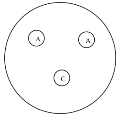 Figura 4 – Disposição dos discos na placa de Petri: A) mesma concentração  e C) controle (sem antimicrobiano)