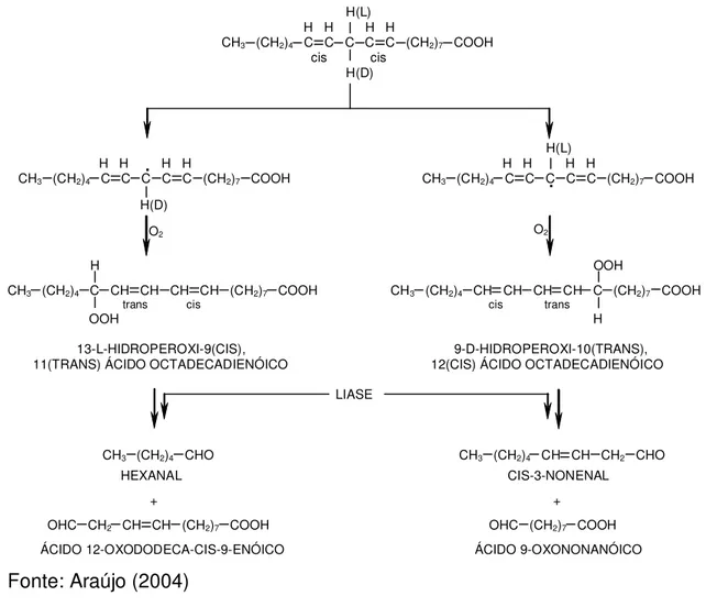 Figura 3 - Oxidação do ácido linoléico e decomposição de hidroperóxidos com  formação de hexanal