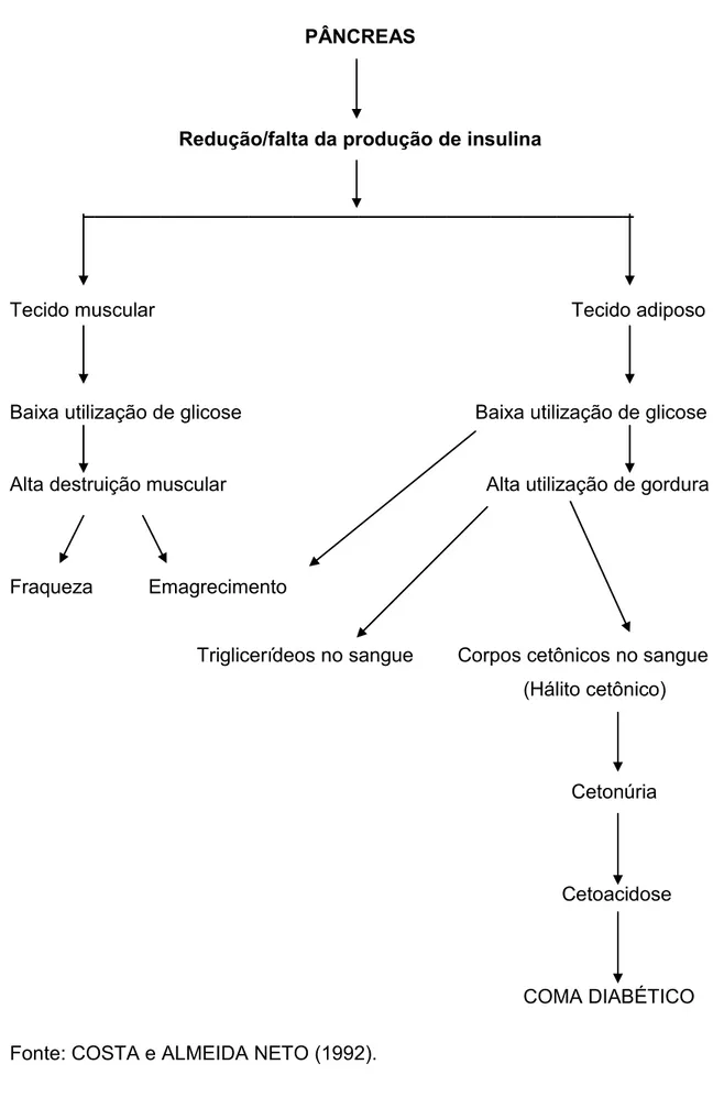 Figura 2 - Metabolismo de lipídios e proteínas no Diabetes. 