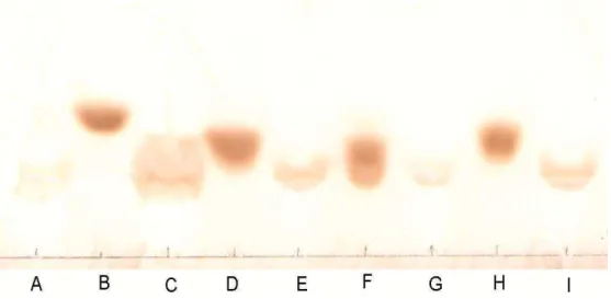 Figura 9 - Cromatograma  das  soluções  de  açúcares  das  frações  1, 2 e 3 e de  padrões de açúcares, em placa de celulose utilizando como fase móvel  butanol : ácido acético : água (12:3:3)