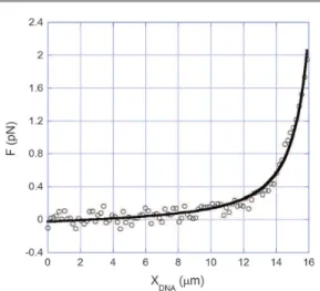 Fig. 1 Force  extension curve of a bare DNA molecule obtained with our experimental procedure