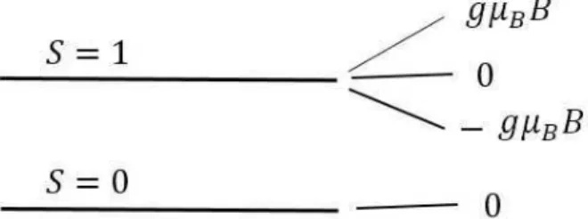 Figura 3.1: N´ıveis de energia do estado tripleto e singleto, respectivamente.