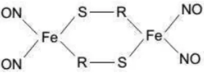 Figura 4.1: Ilustra¸c˜ao da estrutura do Ferro Nitrosyl.