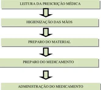 Figura  1  –  Fluxograma  com  as  etapas  que  compõem  o  processo  de  administração  de  medicamentos por via oral