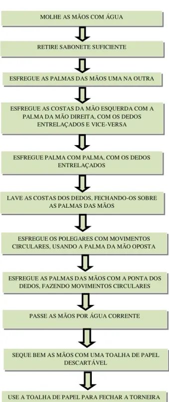 Figura 2 – Fluxograma com as onze etapas da higienização das mãos preconizadas pelo  Ministério da Saúde (Brasil, 2013)