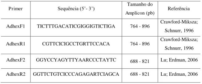 TABELA  1  -  Sequência  de  nucleotídeos  dos  primers  direcionados  à  região  do  Hexon  do  genoma  adenoviral,  utilizados  para  identificação  das  espécies  e  sorotipos  dos  adenovírus detectados