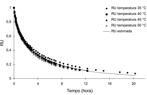 Figura 4. Curvas observadas e estimadas de razão de umidade das sementes de feijão, para os diferentes níveis de temperatura de secagem e teor de umidade inicial de 37,3% b.u.