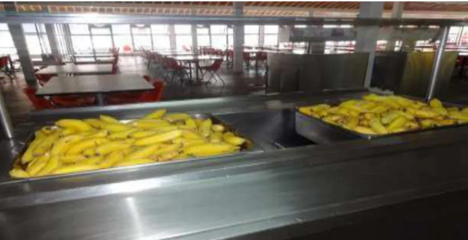 Figura  7.  Primeiro  dia  de  fornecimento  da  banana  prata  no  restaurante  universitário,  Universidade Federal de Viçosa, Minas Gerais
