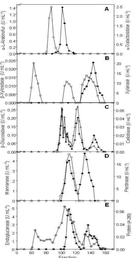 Figure 1:  Sephacryl S-200 chromatograms of the crude enzymatic extract produced by 