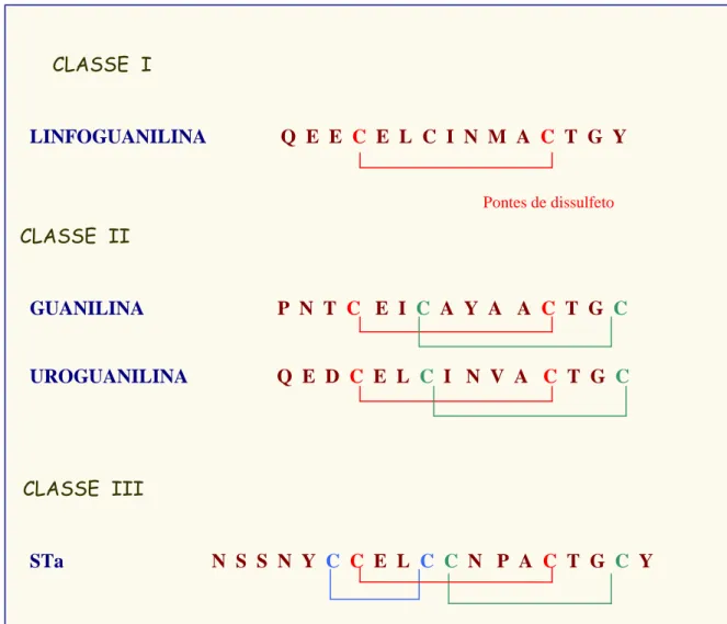 Figura  03  –  Classificação  dos  peptídeos  de  acordo  com  as  pontes  de  dissulfeto,  que  fazem  ligações entre as cisteínas