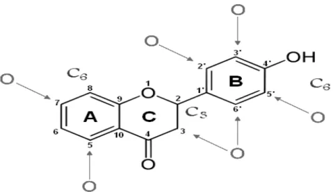 Figura 2: Estrutura básica dos flavonóides, C6-C3-C6.  São freqüentemente  oxidados nas posições apontadas pelas setas e conjugados a carboidratos