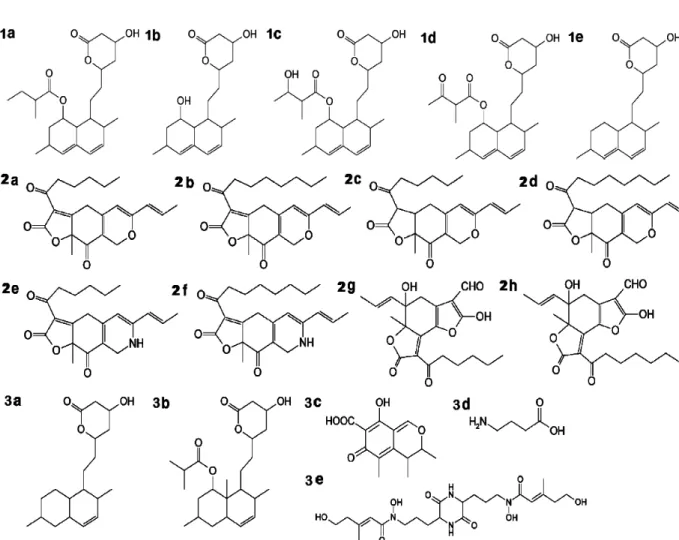 Figura 7: Estruturas químicas encontradas no Monascus. 1- Monacolinas, 2-  Pigmentos e 3- Outros metabólitos