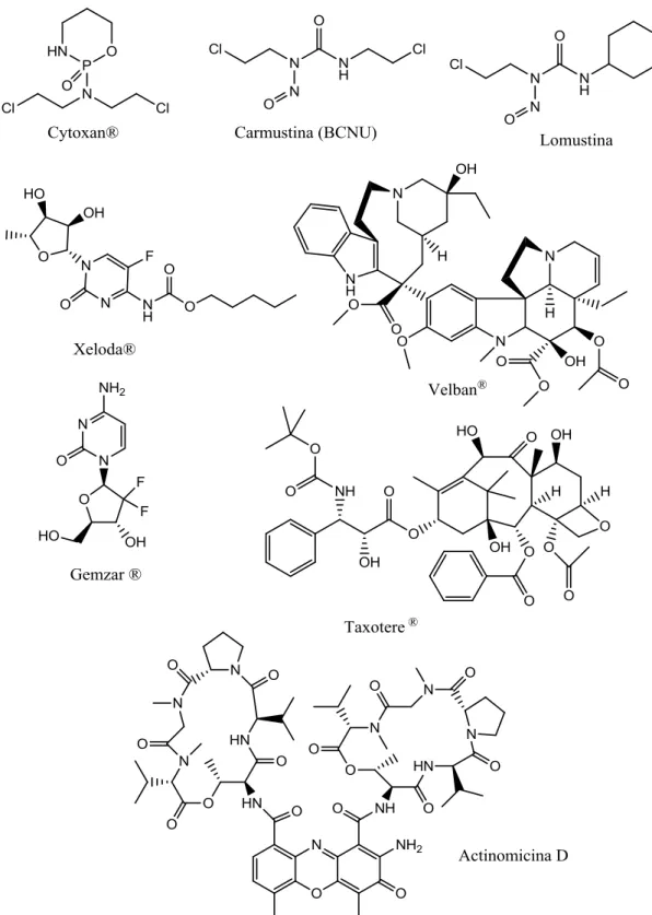 Figura  1  – Estrutura  de  alguns medicamentos  quimioterápicos  utilizados  no tratamento do câncer